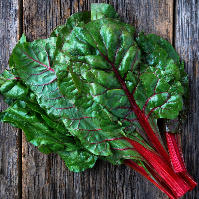 Red Chard Bunch