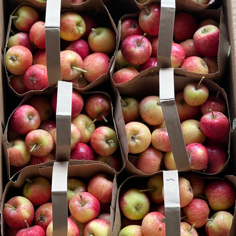 Fuji Apples, 2.5lb paper tote