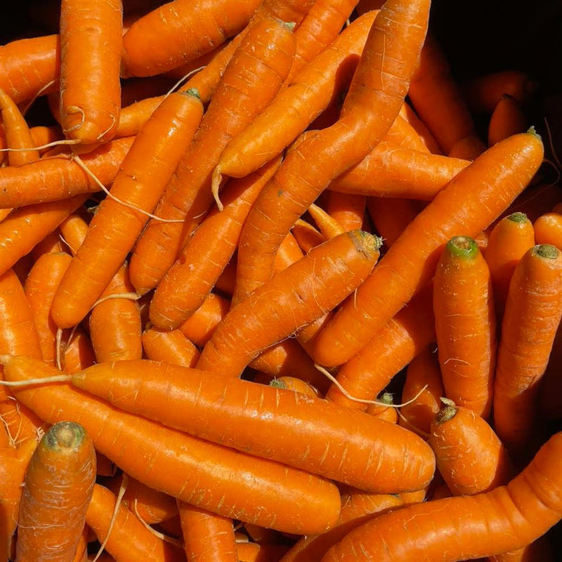 Nantes Carrots, Loose 1lb