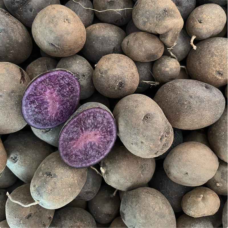 Purple Majesty Potatoes, 1lb