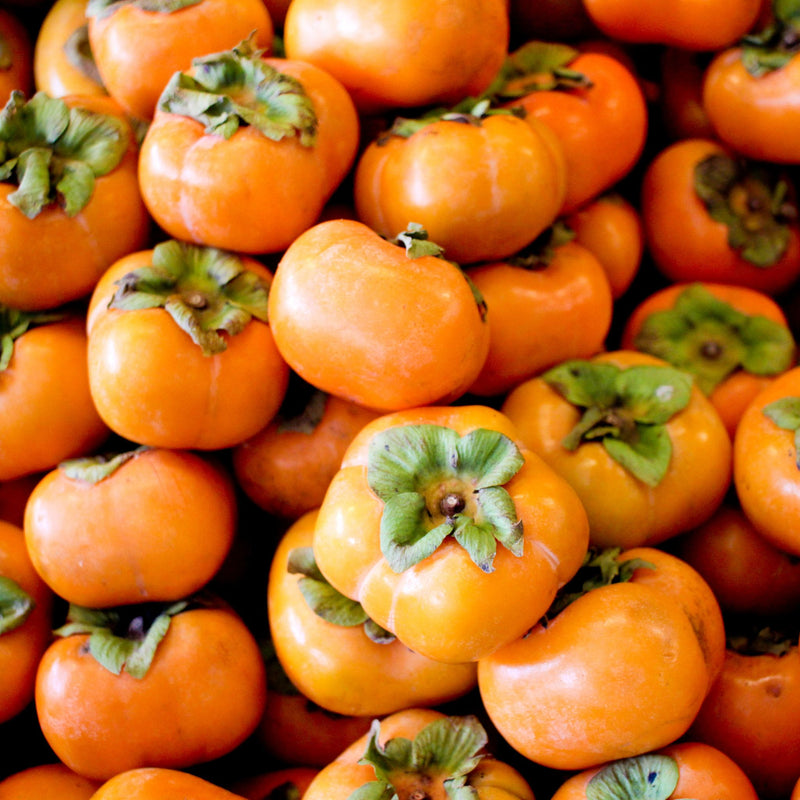 Fuyu Persimmons